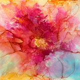 Flourishing Life v3