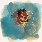 Uncovering Hidden Treasures
