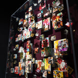 Michelangelo (Aubergine)