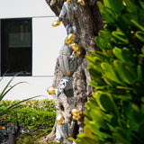 Letter Between Worlds